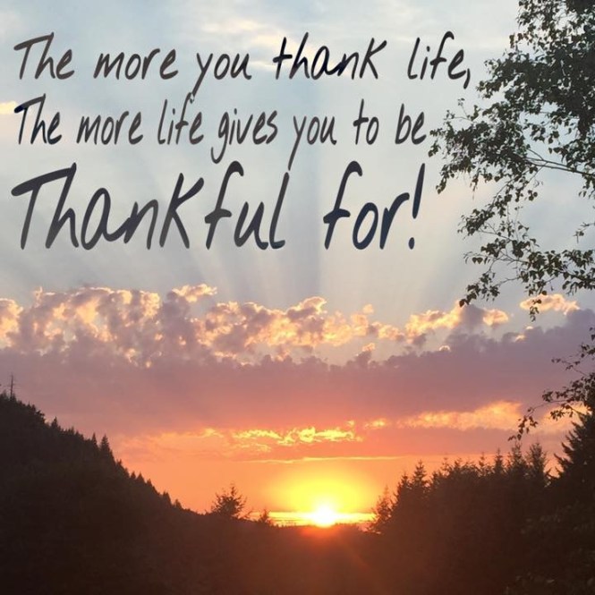 11666086_10206700186240701_2794969743836920633_n